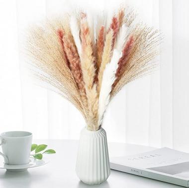 ANKRA 60 Pcs Natural Dried Pampas Grass, 15 Pcs White Pampas & 15 Pcs Brown Pampas & 30 Pcs Reed Grass, 20" Fluffy Pampas Grass Decor, Dried Pampas Grass for Flower Arrangements Home Decor, (ANKRA-01)