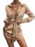 LYANER Women's Leopard Satin Deep Collar V Neck Tie Front Long Sleeve Mini Party Dress