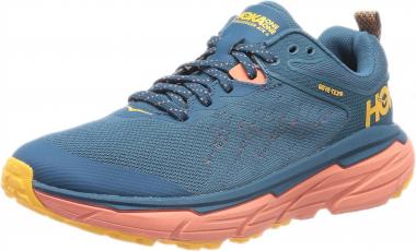 Hoka Women's Challenger 6 GTX All Terrain Running Shoes Sneakers