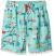 Hatley Boys' Swim Trunks