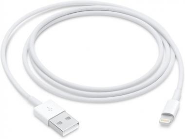 Apple Lightning to USB Cable (1 m)