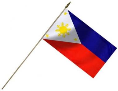 American Eagle Philippines Flag 12X18 Inch Mounted E Poly