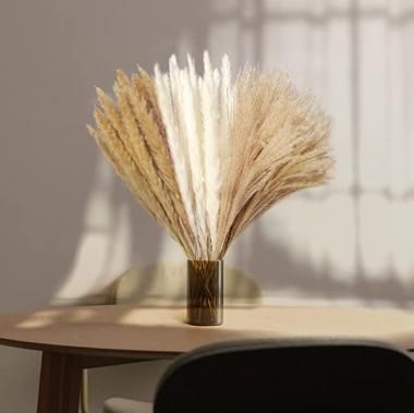 60 Bundles Dried Pampas Grass Plants for Decor Boho Home Vase, Small Dry Reeds Pompous Grass Bouquet Rustic Seaside Decoration, Real Natural Flowers Tables Arrangements (45CM, White Beige and Brown)