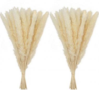 60 Pcs Dried Pampas Grass 18” ,Pompous Grass Pompass Branches for Vase Filler Flower Arrangement Wedding Boho Home Decor (Beige)