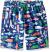 Hatley Boys' Swim Trunks