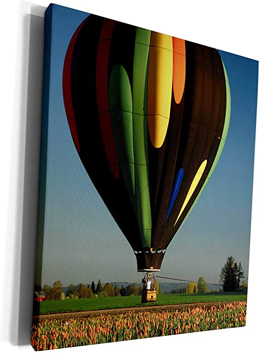 3dRose Danita Delimont - Hot Air Balloons - Hot Air Balloon, Woodburn, Oregon, USA - US38 MHE0034 - Michel Hersen - Museum Grade Canvas Wrap (cw_145926_1)