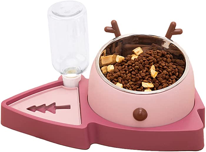 Cat Bowls Tilted Elevated,Raised Stand Food Water Stainless Steel Bowls, Detachable,Slow Feeder,with Automatic Waterer Bottle for Cats, Puppy,Small Dogs
