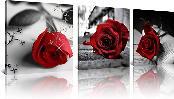 NAN Wind Canvas Print 3 Pcs Black and White Red Rose Canvas Art Painting Abstract Wall Art Decorations Flower Picture on Canvas for Home Decor Stretched and Framed