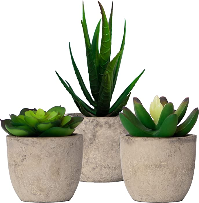 Set of 3 Succulents Plants Artificial Small Fake Plants Bedroom Aesthetic, Potted Fake Succulent Office Desk Decor, Faux Succulents in Pots Fake Plant Decor Cactus Decorations Mini Fake Plants Office