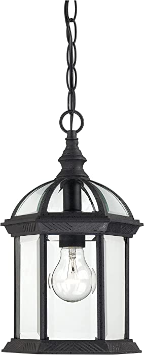 Nuvo Lighting 60/4979 Boxwood Outdoor Hanging Lantern Light Fixture with Clear Beveled Glass, 13.75 x 8-Inches, 100 Watts/120 Volts, Black
