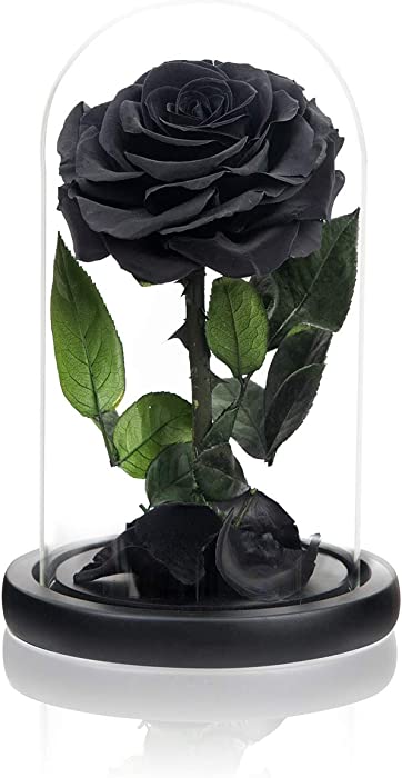 Handmade Preserved Roses in Glass Dome, Long Lasting Black Roses Real, Eternal Glass Rose for Valentine’s Day, Christmas, Mother’s Day, Birthday, Anniversary, Wedding, Thanksgiving