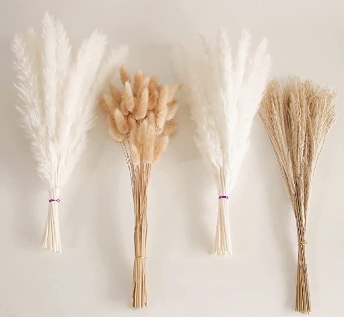 Natural Dried Pampas Grass Decor, White Pampas Grass， Bunny Tails Dried Flowers, Reed Grass Bouquet for Wedding Boho Flowers Home Table Decor, Rustic Farmhouse Party (100 in Total )