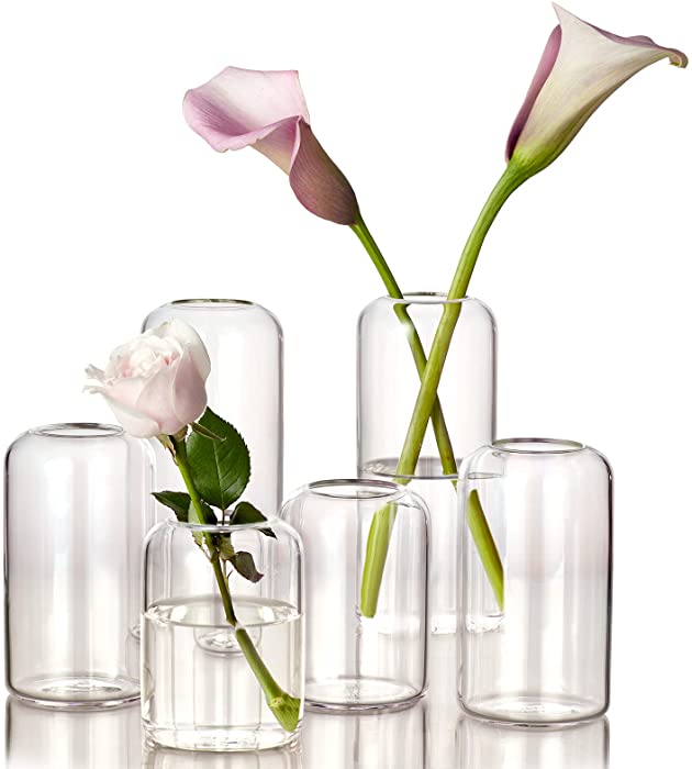 ZENS Bud Vases Glass Set, Clear Small Serene Spaces Living Vase Set of 6 for Centerpieces Home Decor, Modern Hand Blown Borosilicate Flowers Vases for Office or Wedding Events
