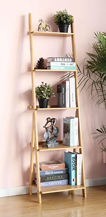HYNAWIN Corner Ladder Shelf Storage Shelving, 5 Tier Books/CDs/Albums/Files Holder in Living Room Home Office,Simple Assembly