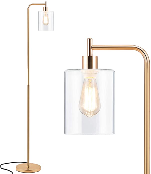 Acaxin Gold Tall LED Floor Lamp Included Bulb, Modern Standing Lamp with Hanging Glass Shade, Farmhouse Indoor Simple Floor Lamp, Industrial Pole Light for Living Room, Bedroom, Office, Home Decor