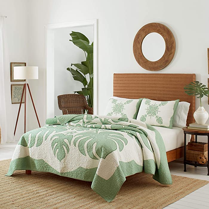 Tommy Bahama | Molokai Collection | Quilt-100% Cotton, Reversible, Soft & Breathable Bedding, Pre-Washed for Added Softness, Queen, Mint Green
