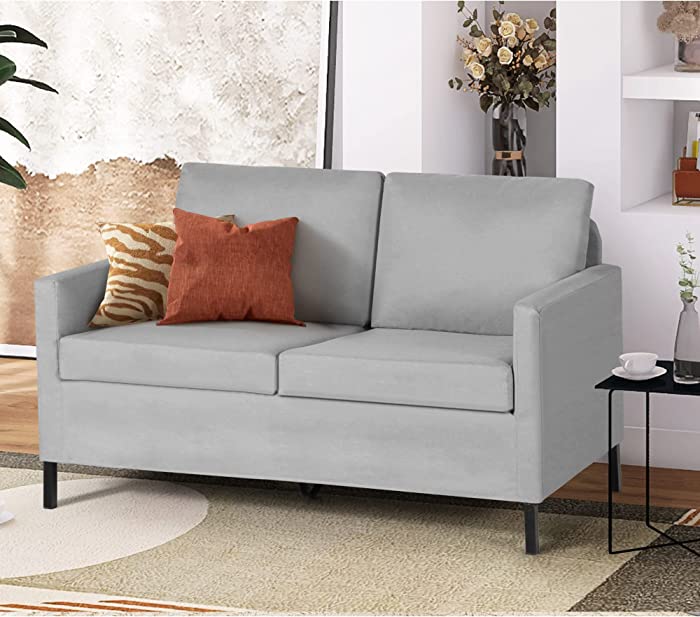 TYBOATLE Upholstered Modern Living Room Loveseat Sofa Couches, Fabric 51“W Comfy Love Seats 2-Seater Furniture w/Iron Legs for Compact Small Space, Apartment, Bedroom, Dorm, Office (Light Grey)