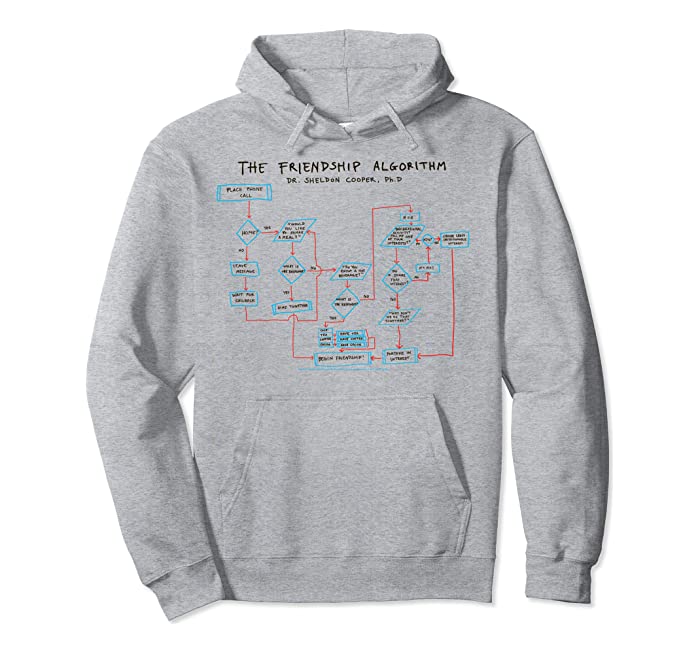 The Big Bang Theory The Friendship Algorithm Pullover Hoodie