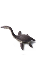 Plesiosaurus