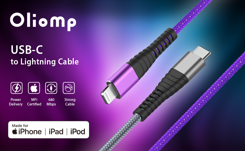 USB C to Lightning Cable