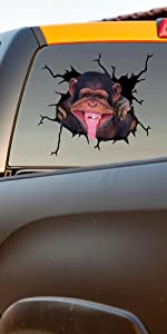 Gorilla Car Stickers Funny Gorilla Decal Vinyl Back Magnetic Auto Atickers For Family Kawaii Die Cut