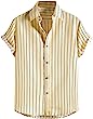 Floerns Men's Striped Shirts Casual Short Sleeve Button Down Shirts