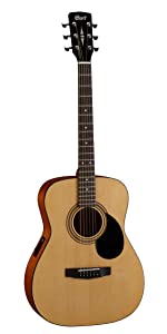 Cort Standard Series