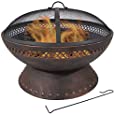 Sunnydaze 25-Inch Diameter Chalice Steel Outdoor Wood Burning Fire Pit with Spark Screen and Poker - Outside Metal Backyard Bonfire Patio Fire Bowl Kit with Copper Finish