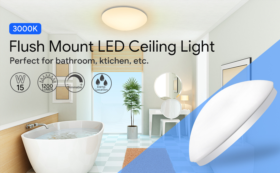 Dimmable LED ceiling light