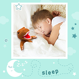 Sweet Dreams with Naturally KIDS Dinosaur Toy