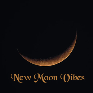 New Moon Vibes magickal Hoodoo Spell Products