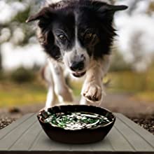 Pet Water Mat