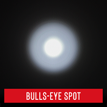 bulls eye spot