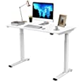 Flexispot Quick Install Standing Desk EC9 Electric Height Adjustable Desk for Home Office 48 x 24 Inches Sit Stand Desk Whole-Piece Desk Board VICI(White Frame + 48&quot; White Top)