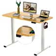 Flexispot Standing Desk Electric Sit Stand Desk with 48 x 24 Inches Whole-Piece Desktop Ergonomic Memory Controller Adjustable Height Desk(White Frame + 48&quot; Bamboo Texture Desktop)