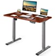 Flexispot EN1 Standing Desk 48 x 30 Inches Electric Stand Up Desk Workstation, Ergonomic Memory Controller Standing Height Adjustable Desk Top Primo(Gray Frame + 48&quot; Whole-Piece Mahogany Top)