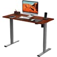 Flexispot Standing Desk Height Adjustable Desk Electric Sit Stand Up Desk Home Office Desks 40 x 24 Inches Vici (Gray Frame + Mahogany Top)