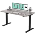 Flexispot Adjustable Desk, Electric Standing Desk Sit Stand Desk (EC1 Classic 55x28, Black Frame+White Wood Grain)