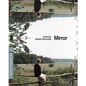 Mirror cover art: The top and bottom are mirror images of a woman looking into a field
