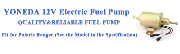 Electric fuel pump
