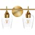 Hamilyeah Gold Bathroom Lighting Fixtures Over Mirror, 2 Light Vanity Lights with Champagne Glass Shade,Modern Wall Mount Lig