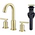 TRUSTMI 2 Handle 8 Inch Brass Bathroom Sink Faucet 3 Hole Widespread with Valve and cUPC Water Supply Hoses, with Overflow Po