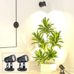 BONTANNY 2 Pack LED Spot Lights Indoor Accent Lighting Plant Spotlight Lamp Uplights for Home Decor Warm White Up Lighting Inside 6.5 FT Cord with Floor Foot Switch