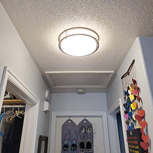 Ceiling Light 