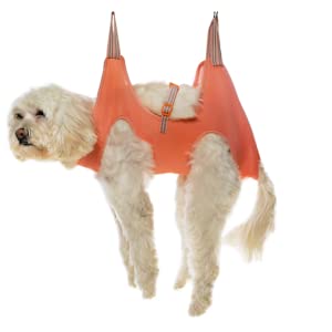 Side view image of a cute dog wearing the grooming hammock 