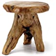 WELLAND Tree Stump Stool Live Edge, Natural Edge Side Table, Plant Stand, Nightstand, Mushroom Stool 14&quot; Tall