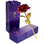 TINYOUTH 24K Red Rose Flower, Gold Dipped Rose 24K Forever Rose with Gift Box and Bag for Lover Mother Friends, Christmas Thanksgiving Wedding Anniversary Mother&#39;s Day Valentine&#39;s Day