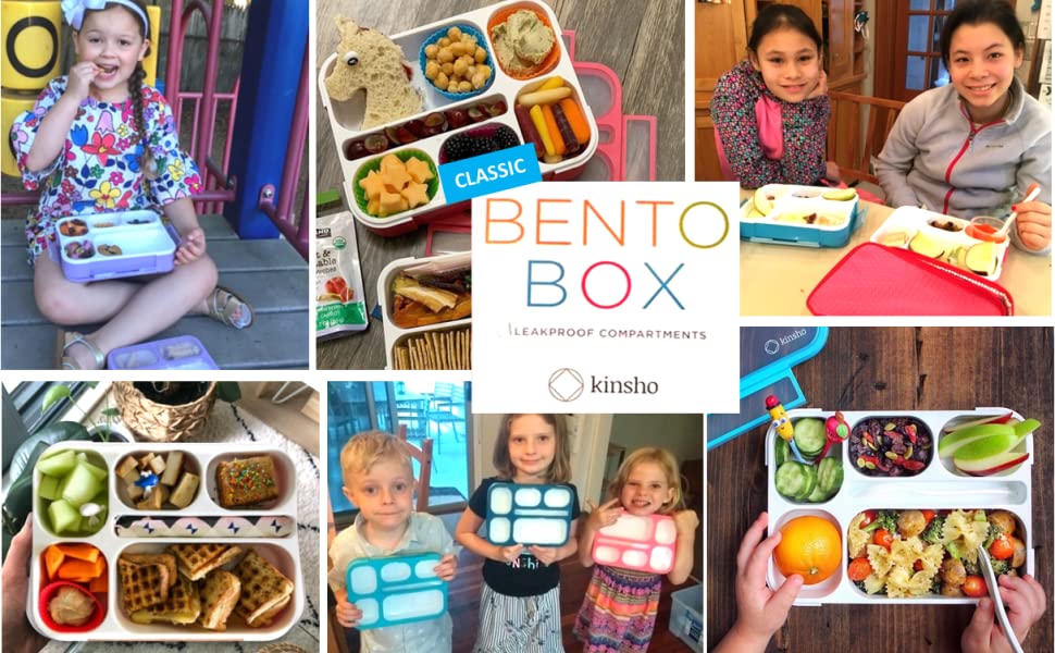 kinsho bento box lunch boxes bentos containers sets for kids toddlers children adults 