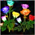 TONULAX Solar Garden Lights - Newest Version Solar Lights Outdoor, 7 Color Changing Rose Lights for Yard,Garden Decoration, E