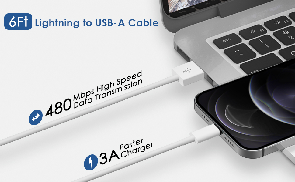 6Ft Lightning to USB-A Cable